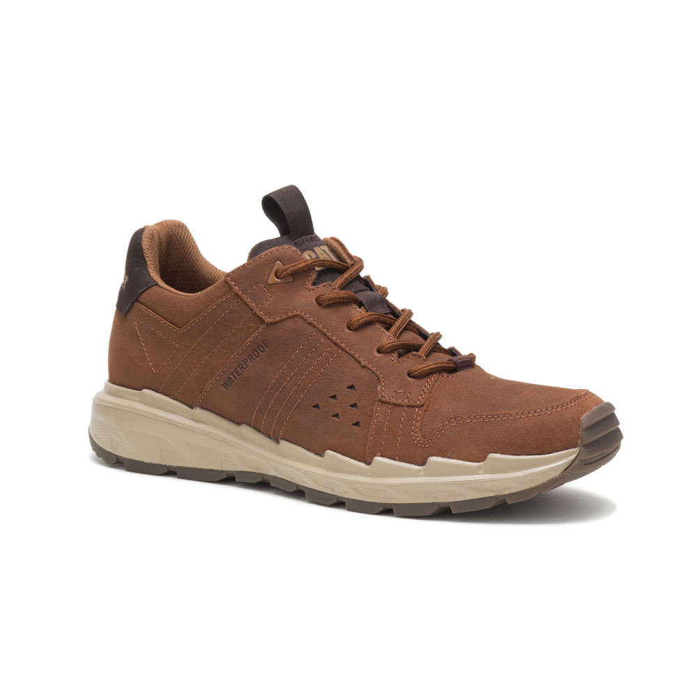 Caterpillar Stratify Lo Wp Philippines - Mens Trainers - Coffee/Brown 80254FNAL